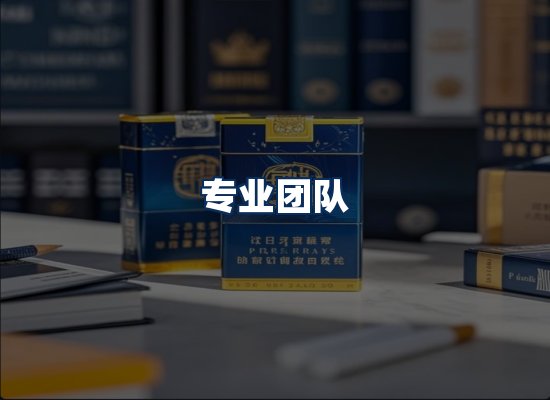 专业团队